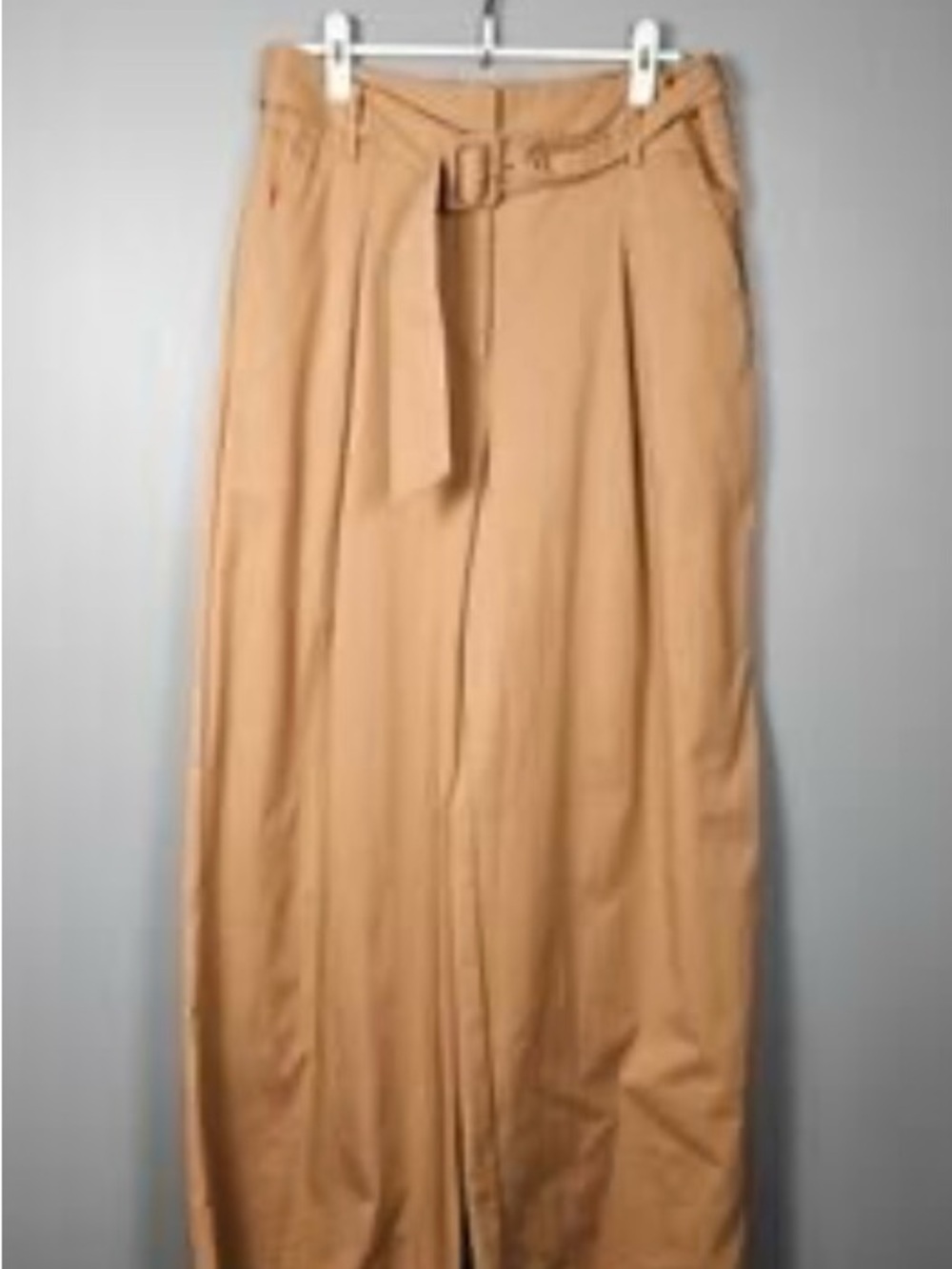 Ryegrass
Wide Leg Pleated Trousers with Belt - Camel - Picture 2 of 4
